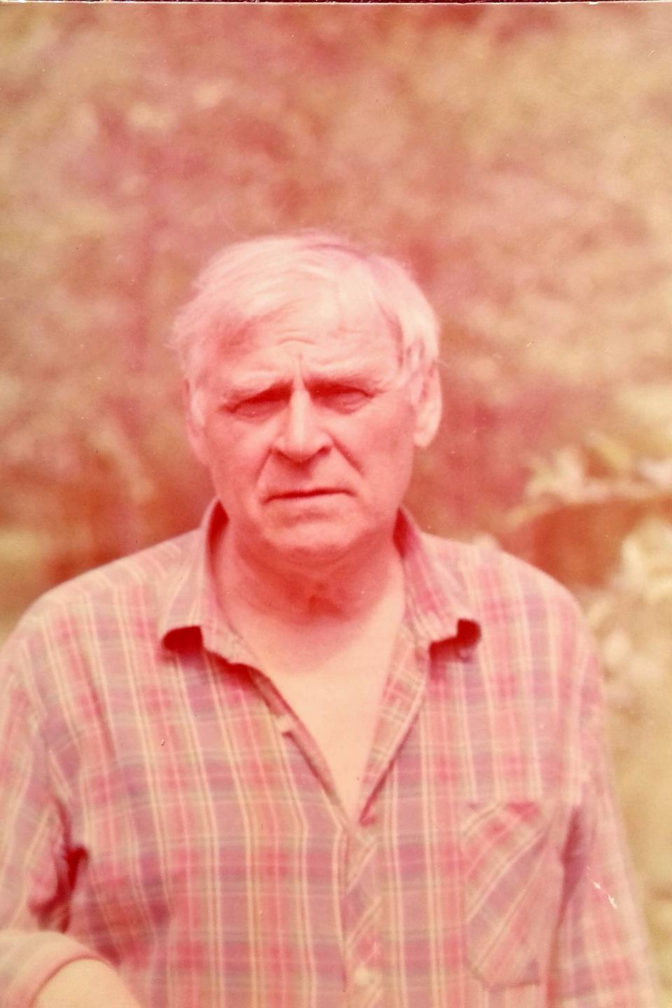An image 19